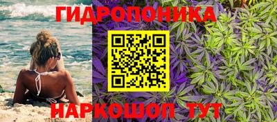 амф Новозыбков