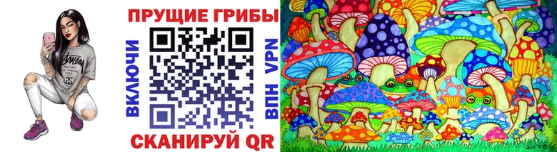 закладки  Азов  Псилоцибиновые грибы MAGIC MUSHROOMS 