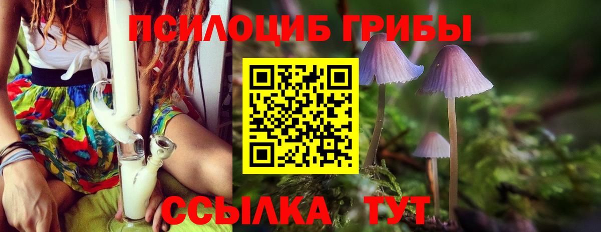 Псилоцибиновые грибы Magic Shrooms Азов